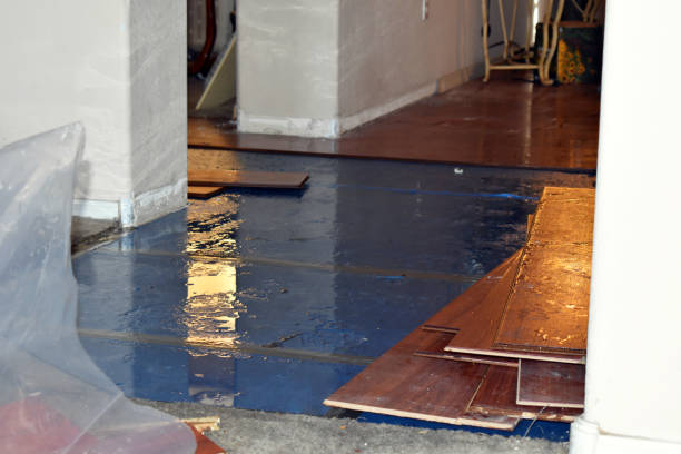 Professional Flood Cleanup technician working in Taunton, MA